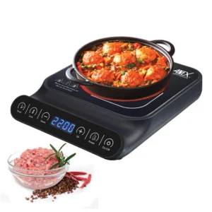 Anex Hotplate 2166EX